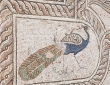 Ancient Peacock
