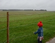 Countryside, Wiltshire