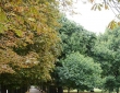 Royal Observatory Park, Greenwich