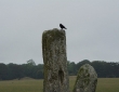 Sarcen Stones, Stonehenge