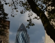 The Gherkin