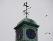 Time Flies, Salisbury