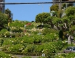 Looking Back At Lombard