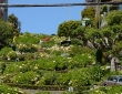 Looking Back At Lombard