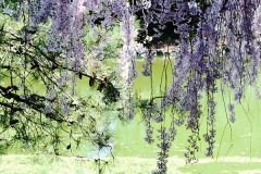 Impressions Of Spring