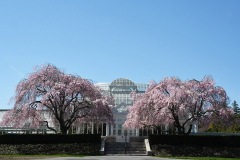  Bronx Botanic Garden