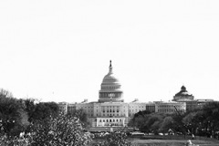 Capitol Panorama