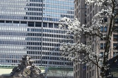  Park Avenue Spring