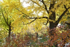 Colors Of The Season