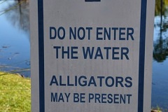 Do Not Enter