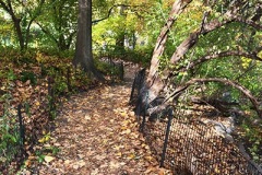 Leaf Filled Path