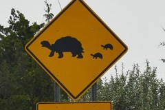 Next 3 Miles