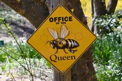 Queen Bee