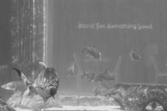 Stand For Something Good