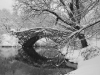 Central Park In The Snow