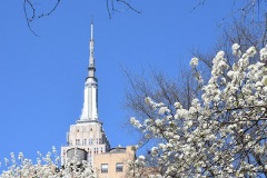 Empire State Building, Spring
