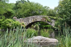 Gapstow Bridge, Summer