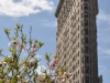 Flatiron Building