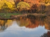 Central Park Autumn