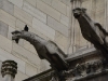 Gargoyles