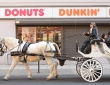 Horses And Donuts