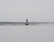 Cockspur Lighthouse, Savannah