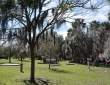 Colonial Park, Savannah