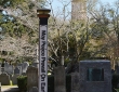May Peace Prevail On Earth,Charleston