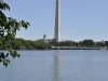 Washington Reflection 2011