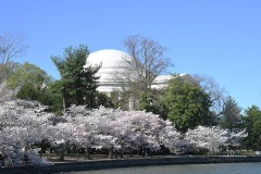 Jefferson Memorial, Spring 2024