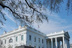 The White House 2024