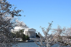 Across The Tidal Basin 2024