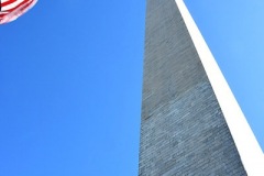 Looking Up 2024