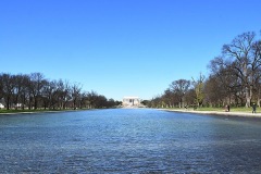 The Reflecting Pool 2024