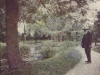 Monet, At The Water Garden 1899