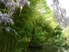 Monet's Rowboat