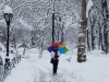 Umbrella In The Snow