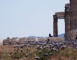 Fallen Column, Athens
