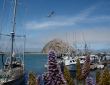 Morro Rock, CA