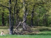 Dejeuner Sur L'Herbe