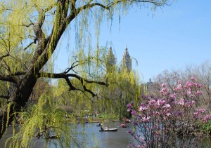 CentralParkSpring
