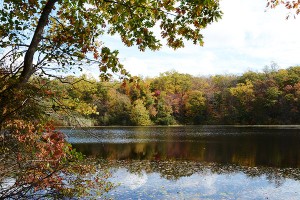 AutumnOnCranberryLake