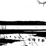 LotsOfLittleDucksWentSwimmingOneDay