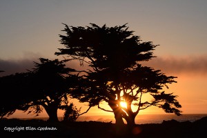 SunsetPacificGrove