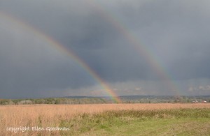 DoubleRainbow