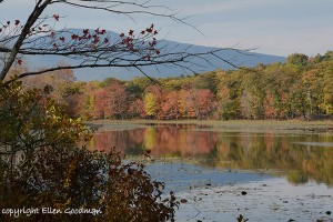 ReflectionsOfAutumn