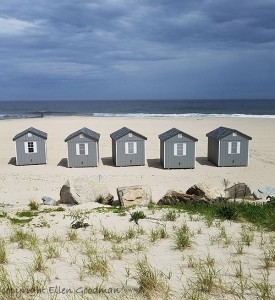 BeachHouses