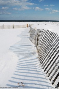 SnowFence