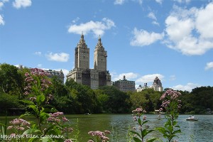 CentralParkLakeOnASunnySummersDay