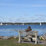 18.ViewFromGreatIslandCommon,NewCastleNH